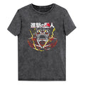 COLOSSAL TITAN VINTAGE TEE